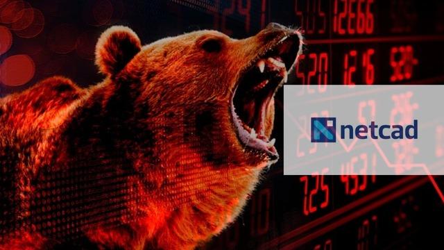 Netcad Yazılım (NETCD) tavan serisini 9. g&uuml;nde sonlandırdı: Tahtada kimler var?