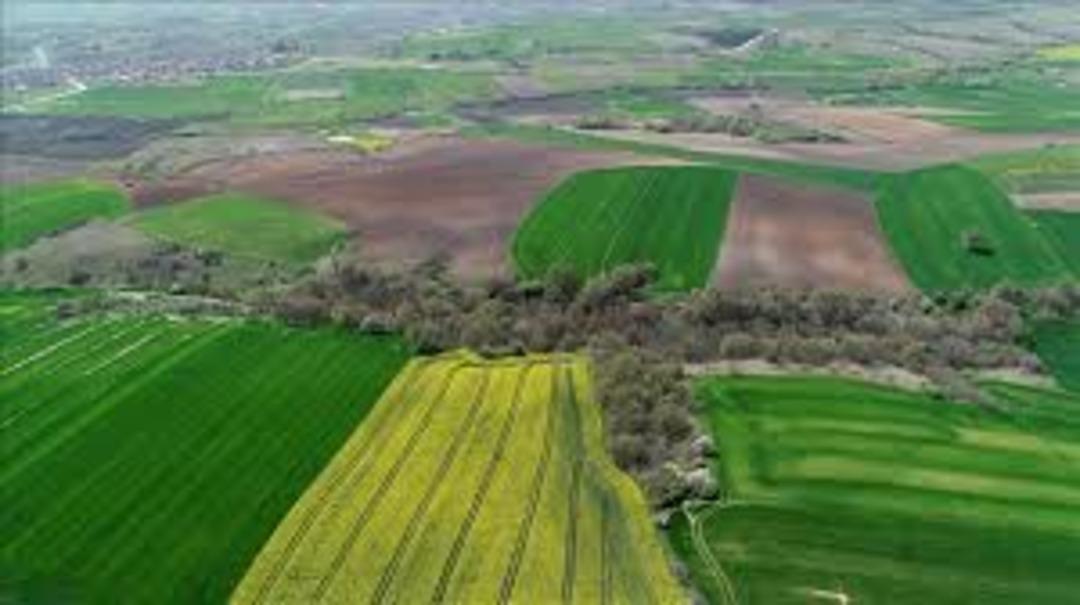 Arsa ve arazide hareketli b&ouml;lgeleri tek tek sıraladı  Kalıcı yatırım tercihi  3