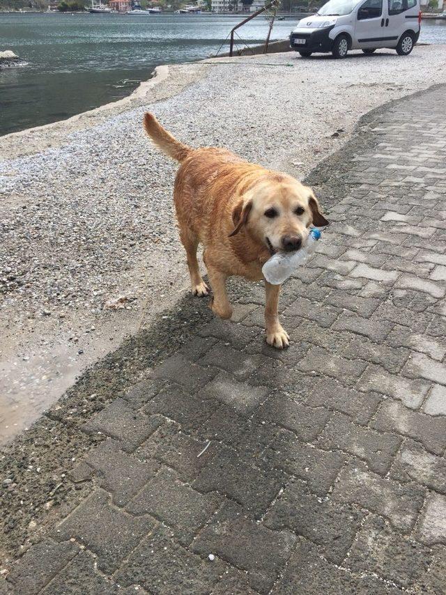 Temizlik yapan belediye işçilerine yardım ettiler