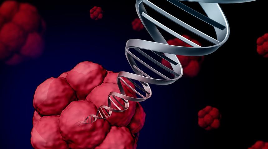 İ&ccedil;imizde saklı olan tedavi y&ouml;ntemi k&ouml;k h&uuml;cre!