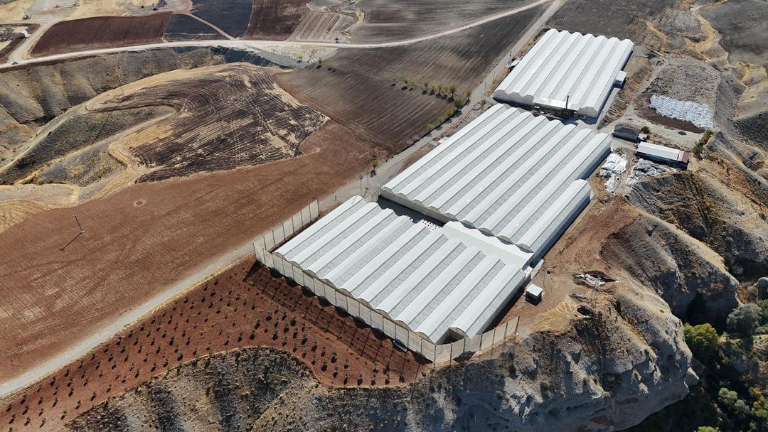 Arazide yıllarca yapılanı değiştirdi! O işe yönelince kazanmaya başladı 1