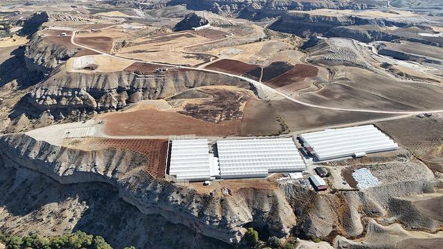 Arazide yıllarca yapılanı değiştirdi! O işe yönelince kazanmaya başladı
