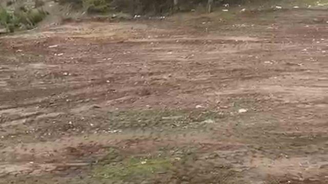 Vatandaşların kirlettiği ormanlık alanı muhtar temizledi 1