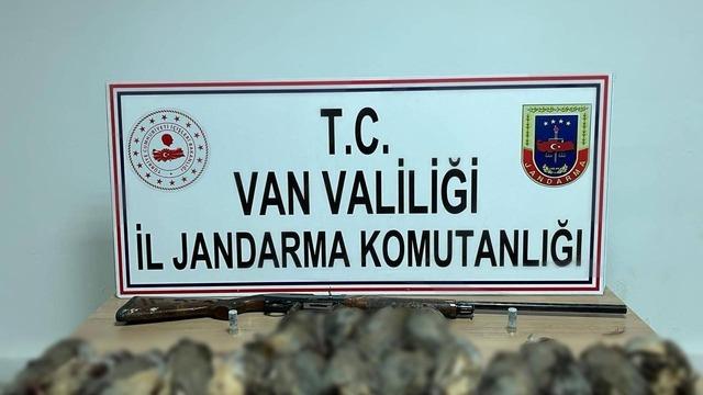 Van’da keklik avına 87 bin TL idari para cezası
