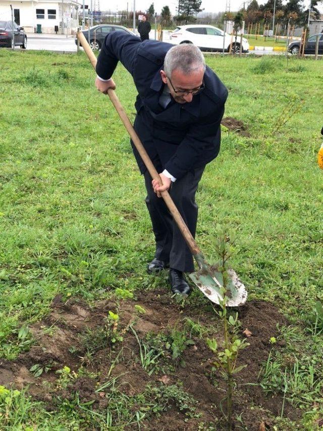 EMŞAV’dan ’Şehit ve Gazi Ormanı’na 300 fidan