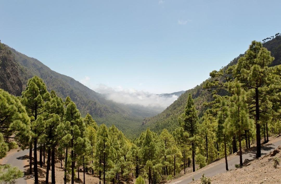 Aynı görünse de farklı: İklim değişikliği ve iklim krizi 1