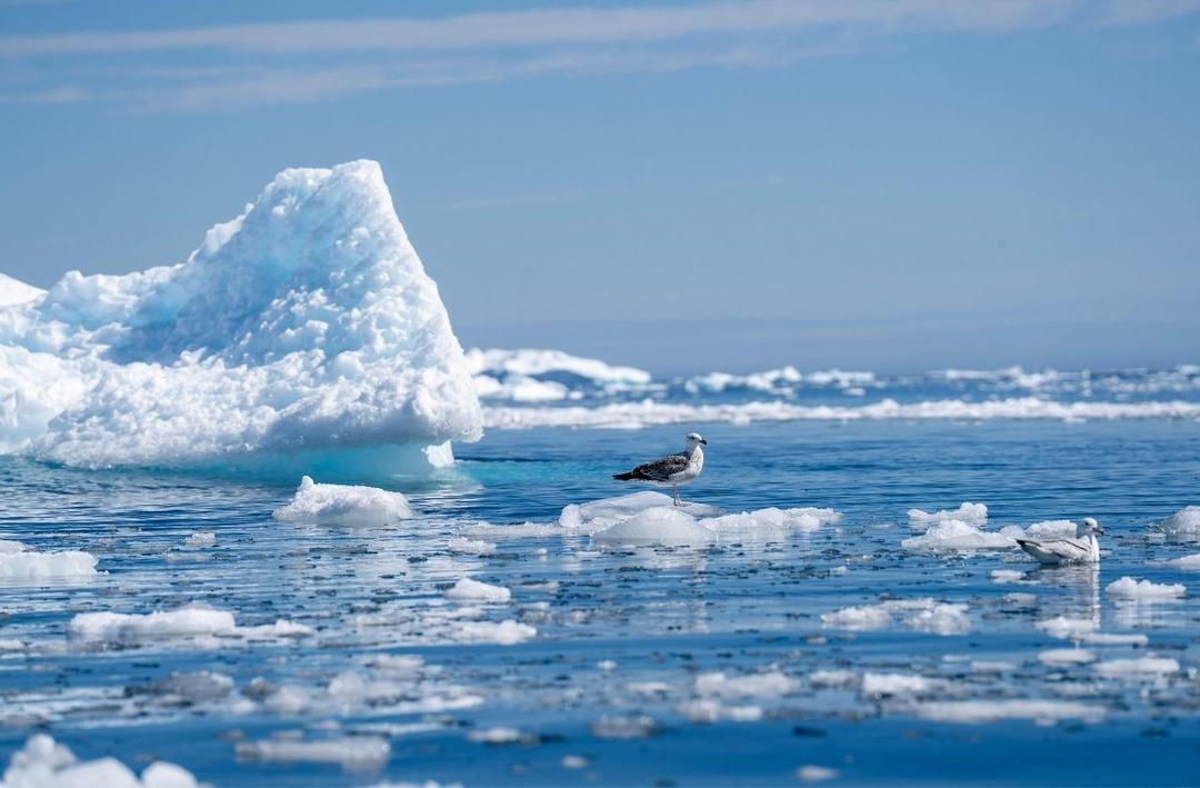 Aynı görünse de farklı: İklim değişikliği ve iklim krizi 3