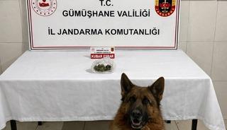 G&uuml;m&uuml;şhane&rsquo;de uyuşturucu operasyonu