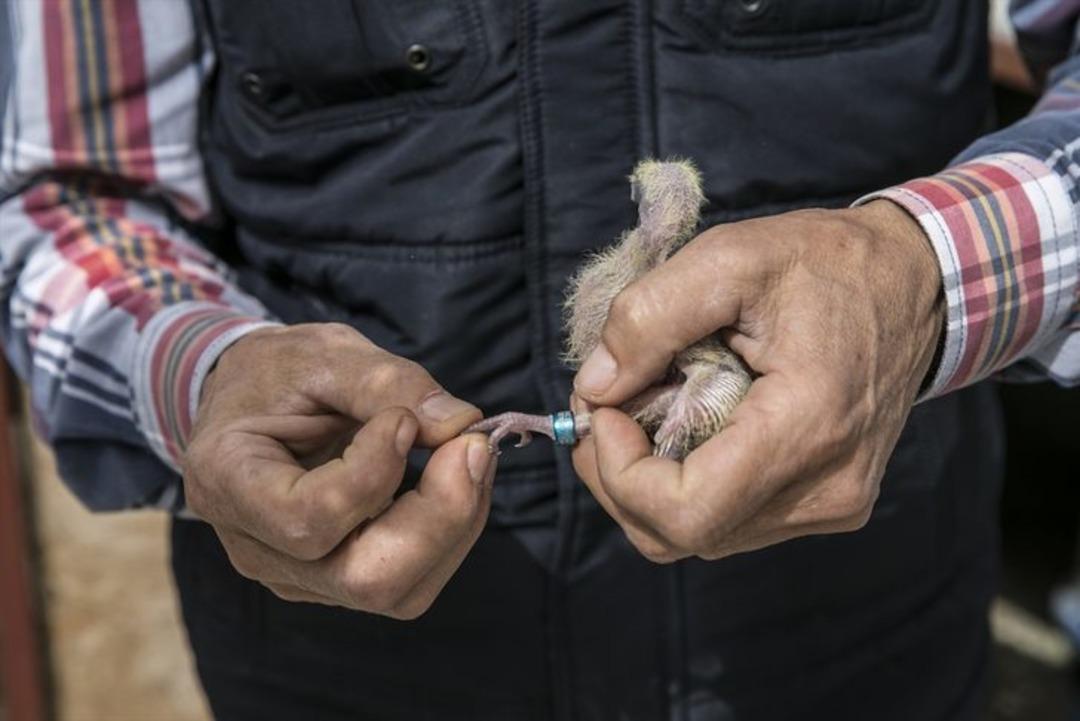 Sırrı ayaklarında