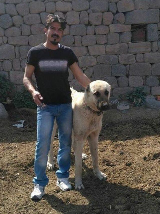 Karaman’da kalbinden bıçaklanan şahıs, hastanede öldü