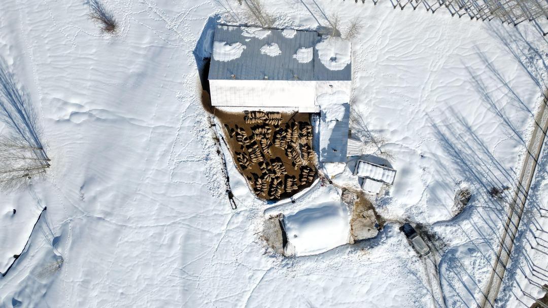 İstanbul dan k&ouml;y&uuml;ne d&ouml;n&uuml;p mahallede kurdu: 4 yılda 100 den 680 e &ccedil;ıkardı 8