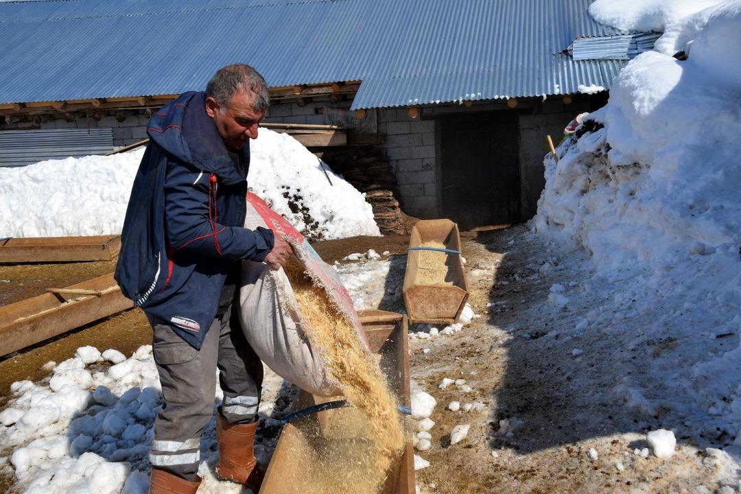 İstanbul dan k&ouml;y&uuml;ne d&ouml;n&uuml;p mahallede kurdu: 4 yılda 100 den 680 e &ccedil;ıkardı 3
