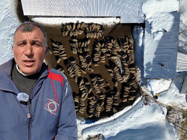 İstanbul'dan k&ouml;y&uuml;ne d&ouml;n&uuml;p kurdu: 4 yılda 100'den 680'e &ccedil;ıkardı