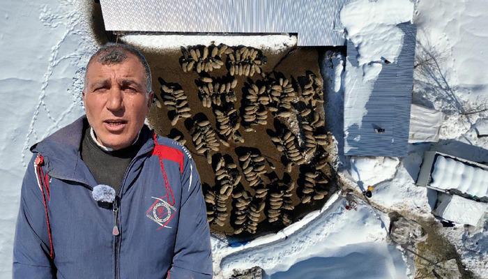 İstanbul'dan k&ouml;y&uuml;ne d&ouml;n&uuml;p kurdu: 4 yılda 100'den 680'e &ccedil;ıkardı