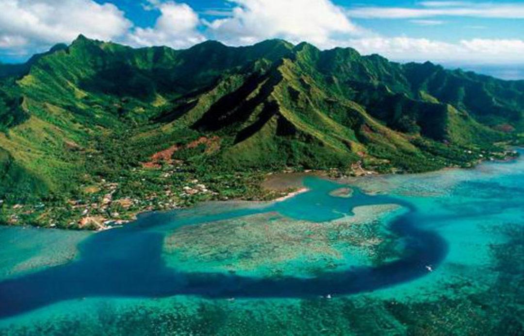 Океания особенности природных ресурсов. Острова Океании. Материковые острова Океании. Мадагаскар материковый остров. Растительный мир Океании.
