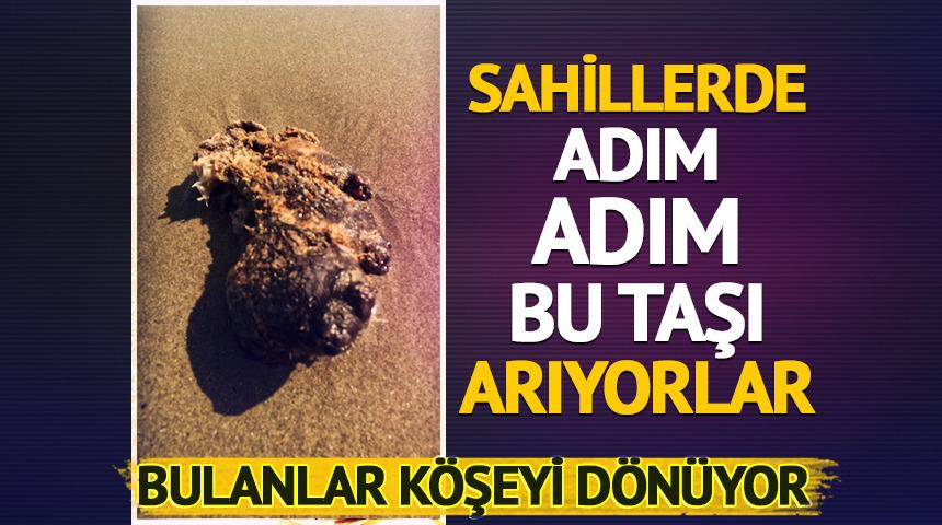 Sahillerde adım adım arıyorlar! Bulanlar k&ouml;şeyi d&ouml;n&uuml;yor