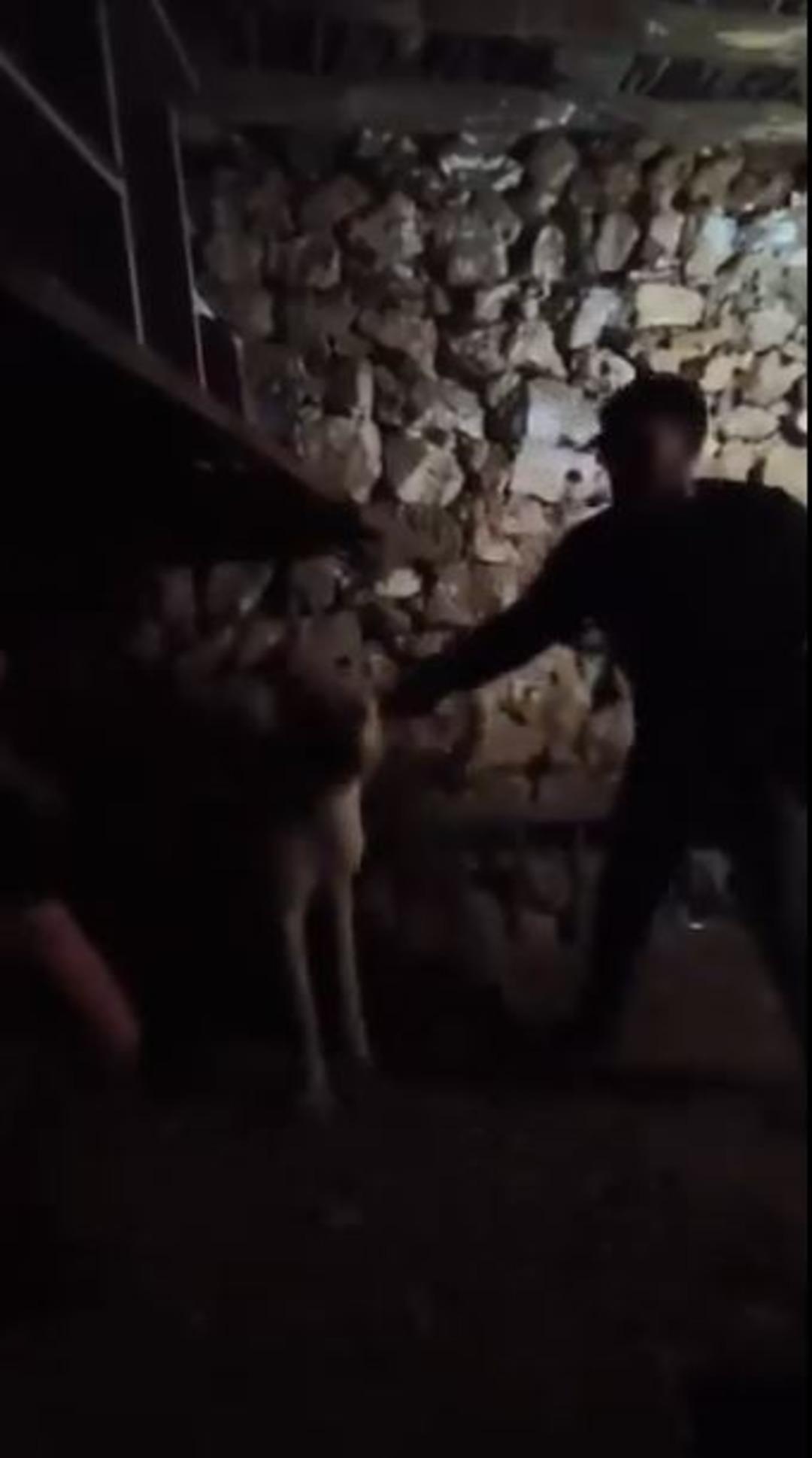 &Ccedil;ocuğa ahırda işkence! &Ouml;nce &uuml;zerindekileri &ccedil;ıkarttı, sonra k&ouml;pek getirdi... İnfial yaratan g&ouml;r&uuml;nt&uuml; 1