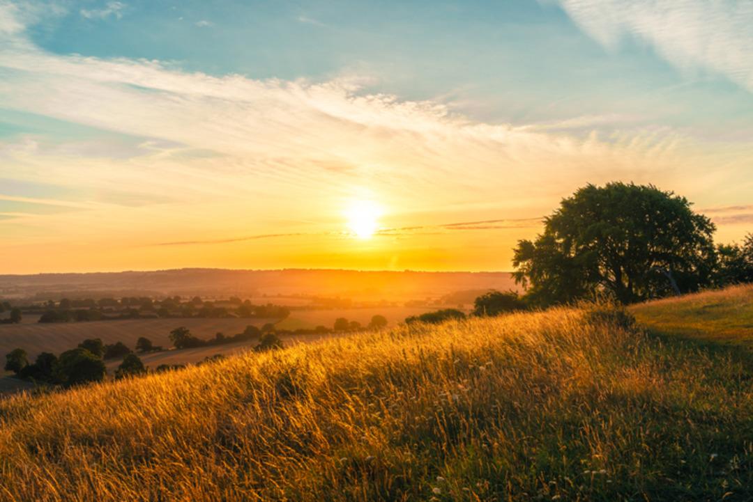 Alarmın icadından önce insanların uyanmak için kullandığı enteresan yöntemler 1