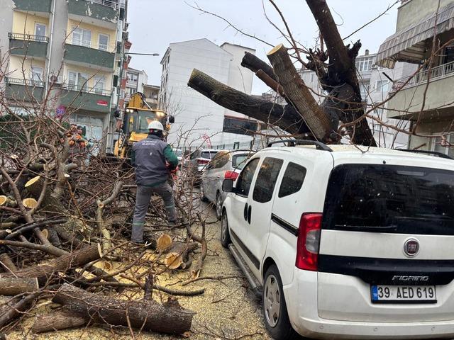 Kırklareli nde fırtınada üzerine ağaç devrilen otomobil hasar gördü 1