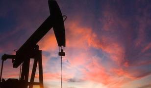 T&uuml;rkiye&rsquo;den bir k&uuml;resel enerji hamlesi daha! Bulgaristan'da arama yapacak: Shell ile imzalar atıldı