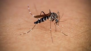 Son dakika: &Ouml;l&uuml;mc&uuml;l tropikal vir&uuml;s kapımıza kadar dayandı! Belirtileri yıllarca s&uuml;rebiliyor