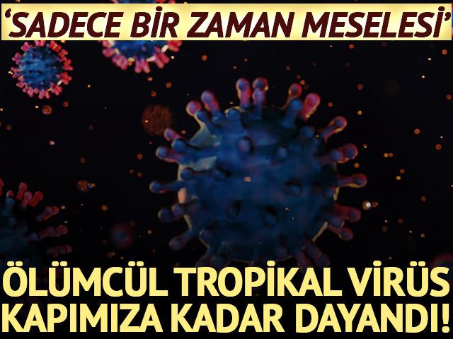 &Ouml;l&uuml;mc&uuml;l tropikal vir&uuml;s yayılıyor: Kapımıza kadar dayandı! 