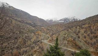 Diyarbakır&rsquo;da kayıp yaşlı adam 11 g&uuml;nd&uuml;r aranıyor