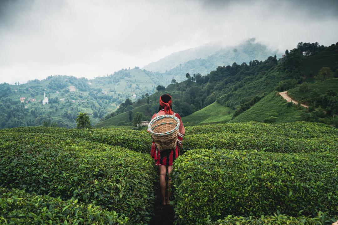 Ne İstanbul ne de Ankara! Türkiye de yaşam süresi en uzun şehir belli oldu 2