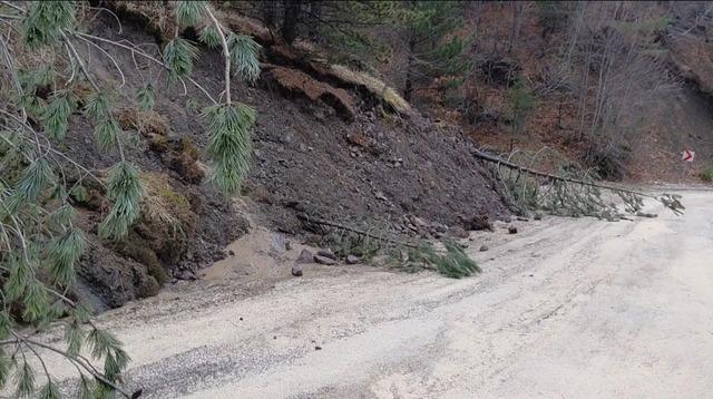 Amasya’da ormanlık alanda heyelan: Ağaçlar devrildi 3