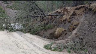 Amasya’da ormanlık alanda heyelan: Ağaçlar devrildi