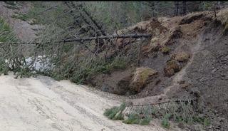 Amasya&rsquo;da ormanlık alanda heyelan: Ağa&ccedil;lar devrildi