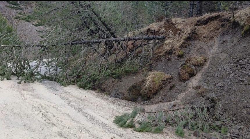 Amasya&rsquo;da ormanlık alanda heyelan: Ağa&ccedil;lar devrildi