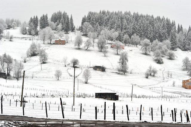 'Mor Yayla' beyaza büründü