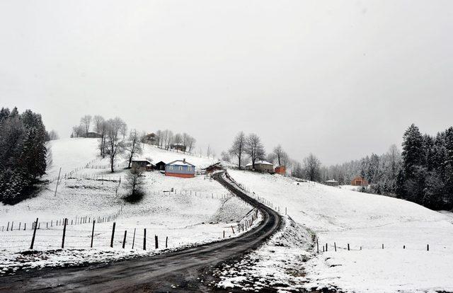 'Mor Yayla' beyaza büründü