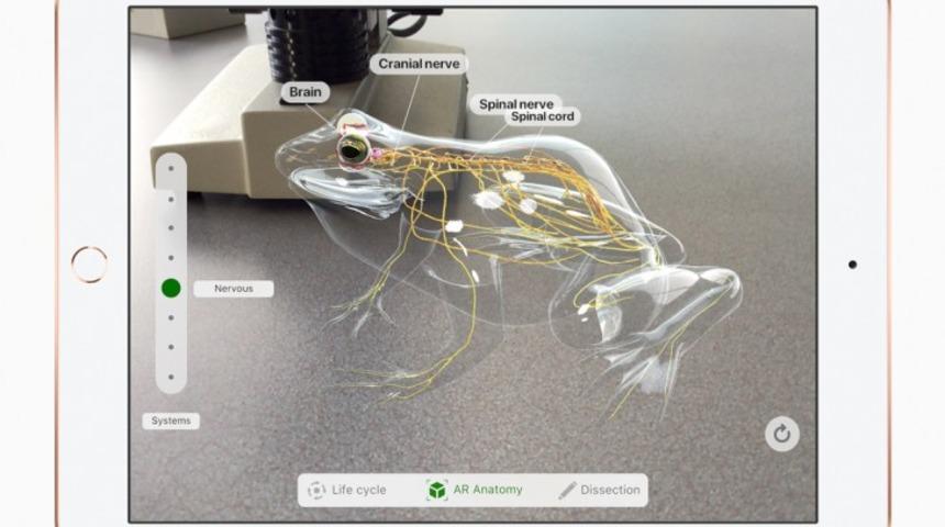 9.7″ iPad 2018 geliyor