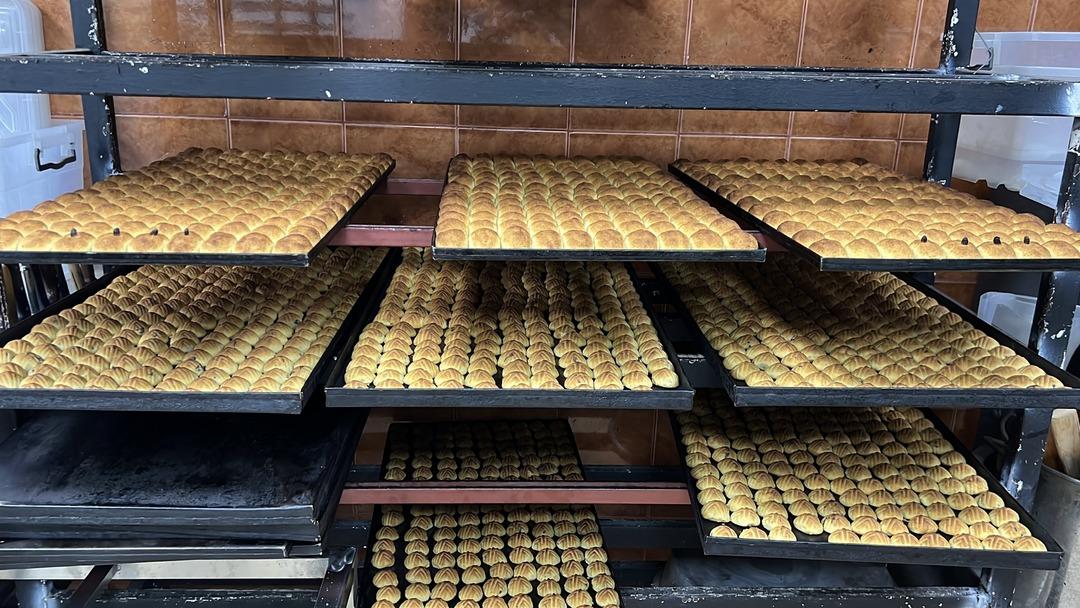 1 haftalık &ouml;mr&uuml; var: Kargo ile g&ouml;nderiliyor! Fiyatı 1200 TL 4