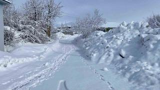Karlıova’da kar yağışı etkisini sürdürüyor