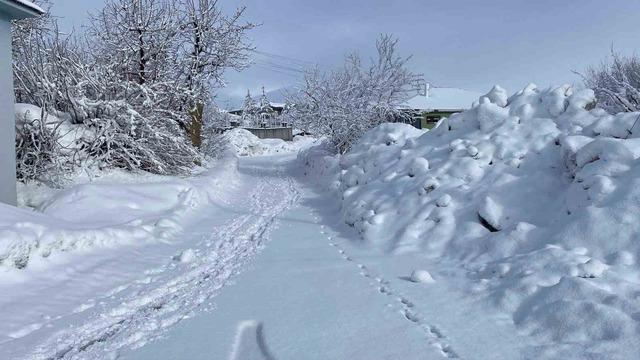 Karlıova’da kar yağışı etkisini sürdürüyor