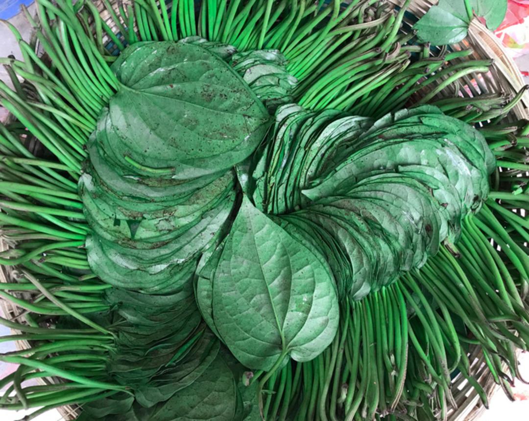 Ağızda &ccedil;iğneniyor yere t&uuml;k&uuml;r&uuml;l&uuml;yor! Sebebi duyanı şaşırtıyor 2