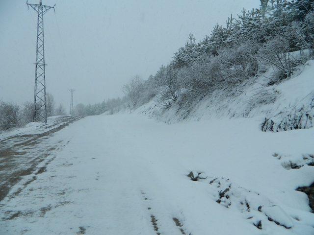 Posof’ta kar yağışı