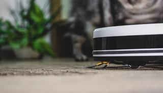 Oyun koluyla s&uuml;p&uuml;rge y&ouml;netmek isterken yanlışlıkla ordu kurdu!