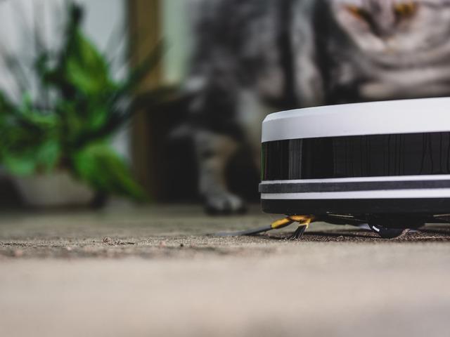 Oyun koluyla s&uuml;p&uuml;rge y&ouml;netmek isterken yanlışlıkla ordu kurdu!