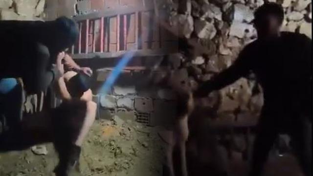 Ahırda işkence infial yaratmıştı! Mardin'deki olayda yeni gelişme