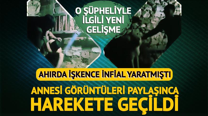 Ahırda işkencede yeni gelişme