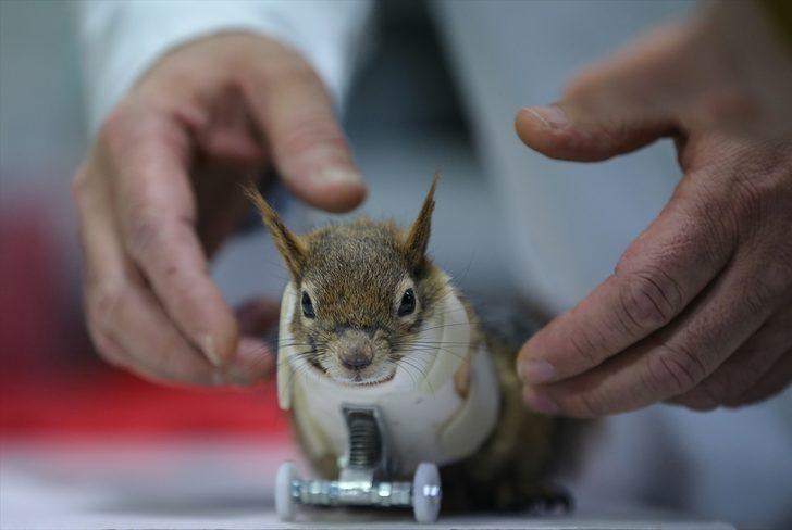 Karamel bir ilk oldu G1