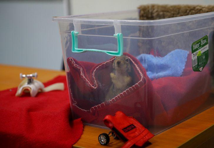 Karamel bir ilk oldu G4