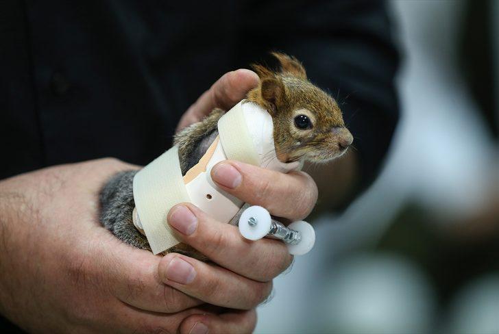 Karamel bir ilk oldu G5