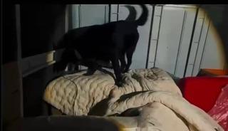 Kamyonet kasasında battaniyeyle saklanan 11 kilo 200 gram uyuşturucu yakalandı