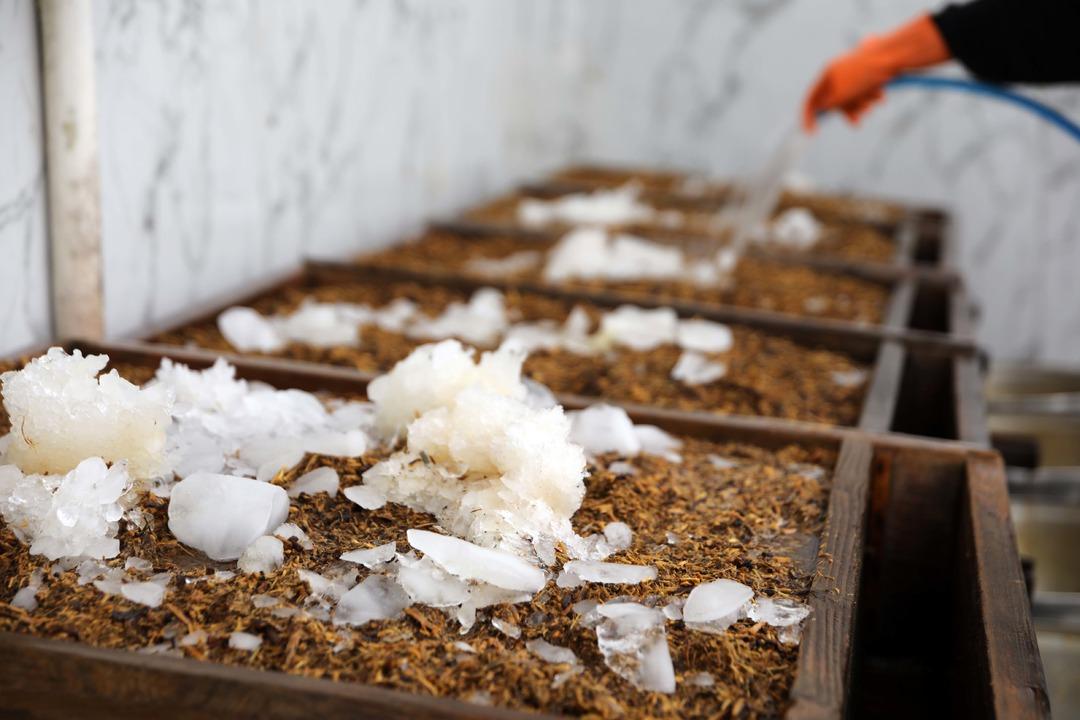 Fırat Nehri nden gelen siyah mucize! Ramazanda susuzluğu gideriyor 1