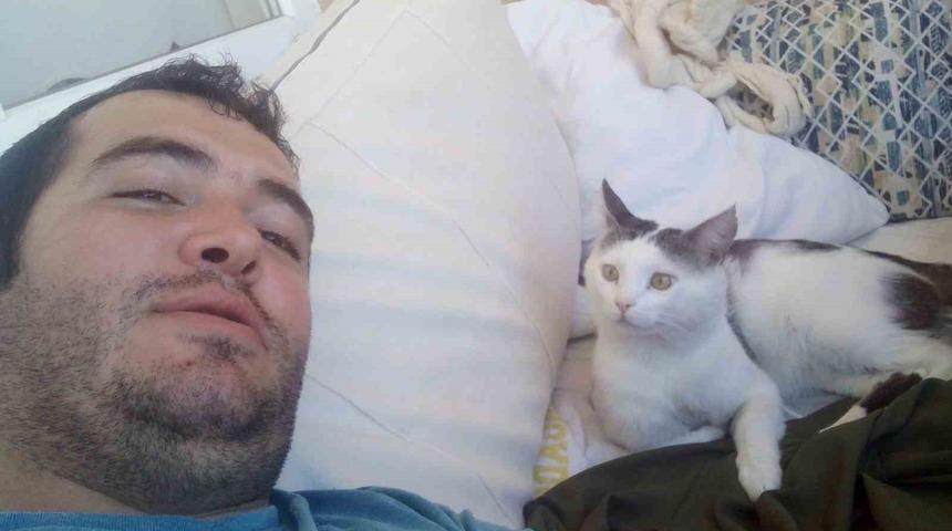 Kaybolan kedisi i&ccedil;in binlerce kilometre yol yaptı